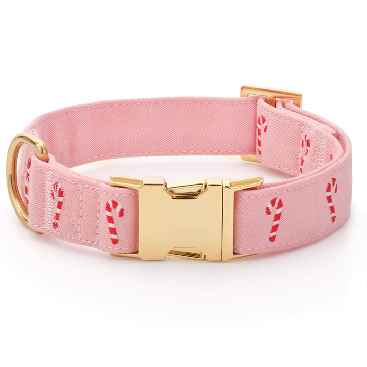 Blush pink dog collar embroidered with red and white candy canes and a gold buckle, on white