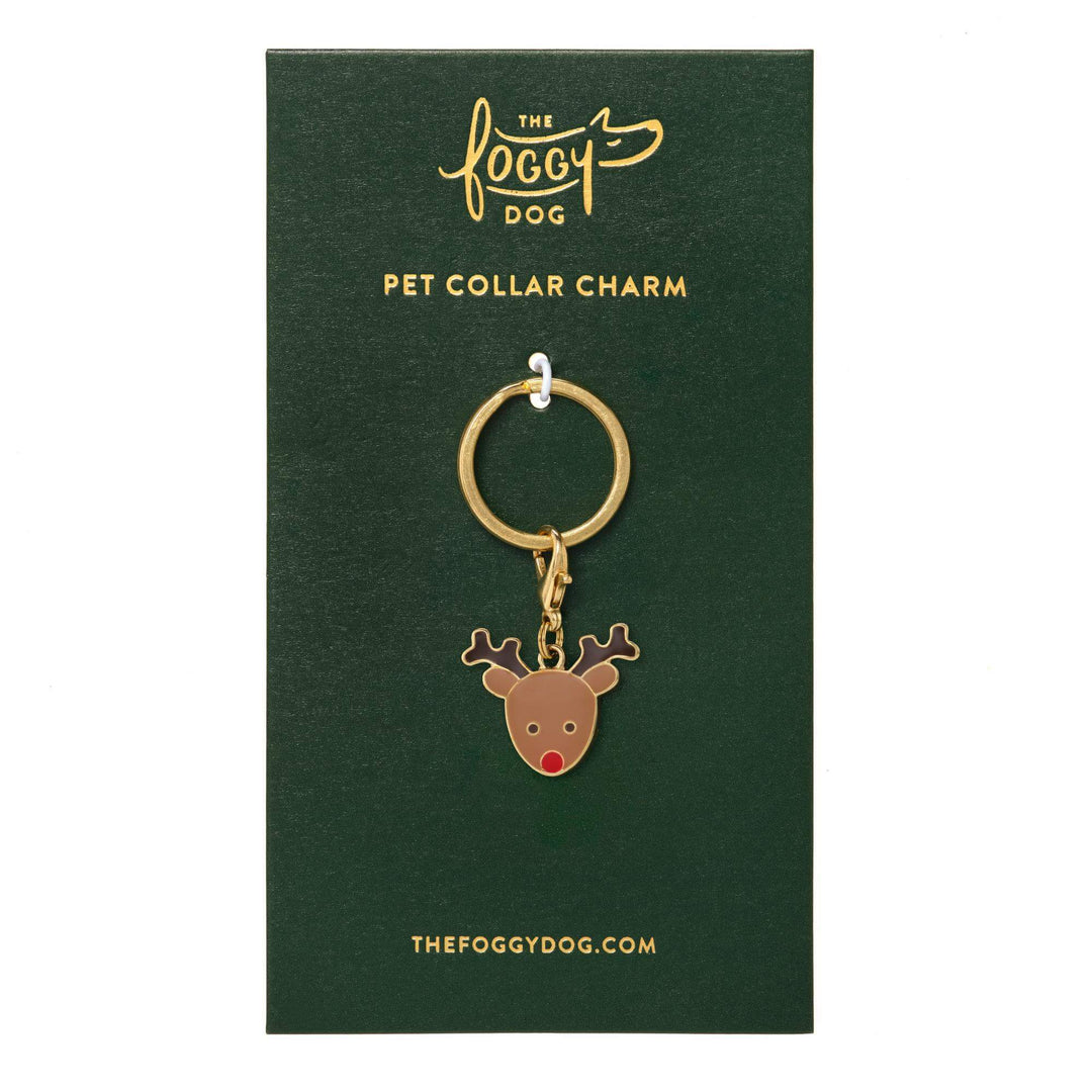 Red-nosed reindeer collar charm mounted on a green Foggy Dog card beneath its gold clasp and split ring.