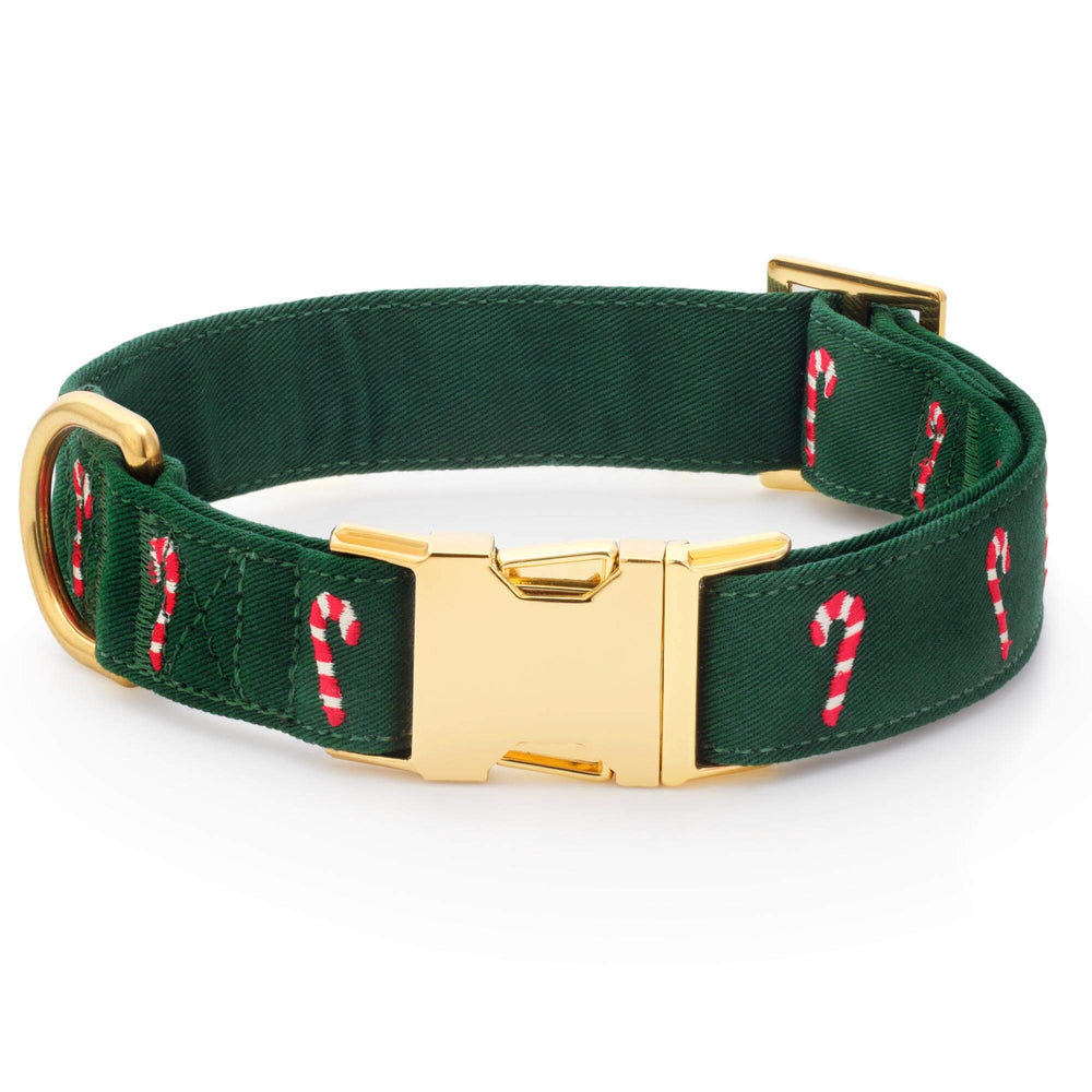 Evergreen candy cane embroidered dog collar with a gold buckle, shown without the bow