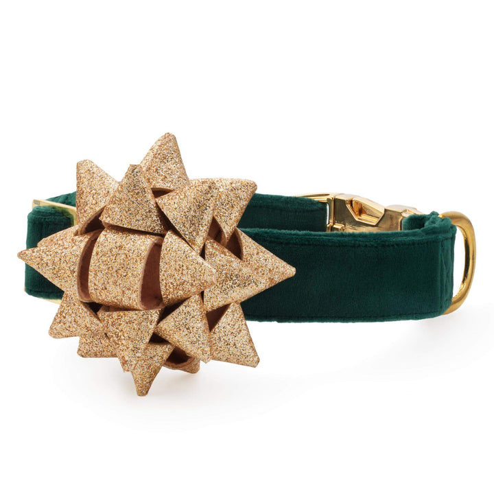 Forest green velvet dog collar with a gold glitter gift bow, on white