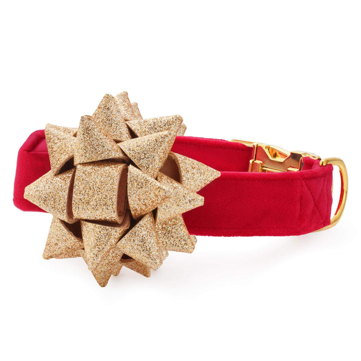 Cranberry red velvet dog collar with a gold glitter gift bow, on white