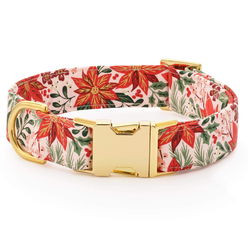 Poinsettia print dog collar in red and coral blooms on blush with a gold buckle, on white