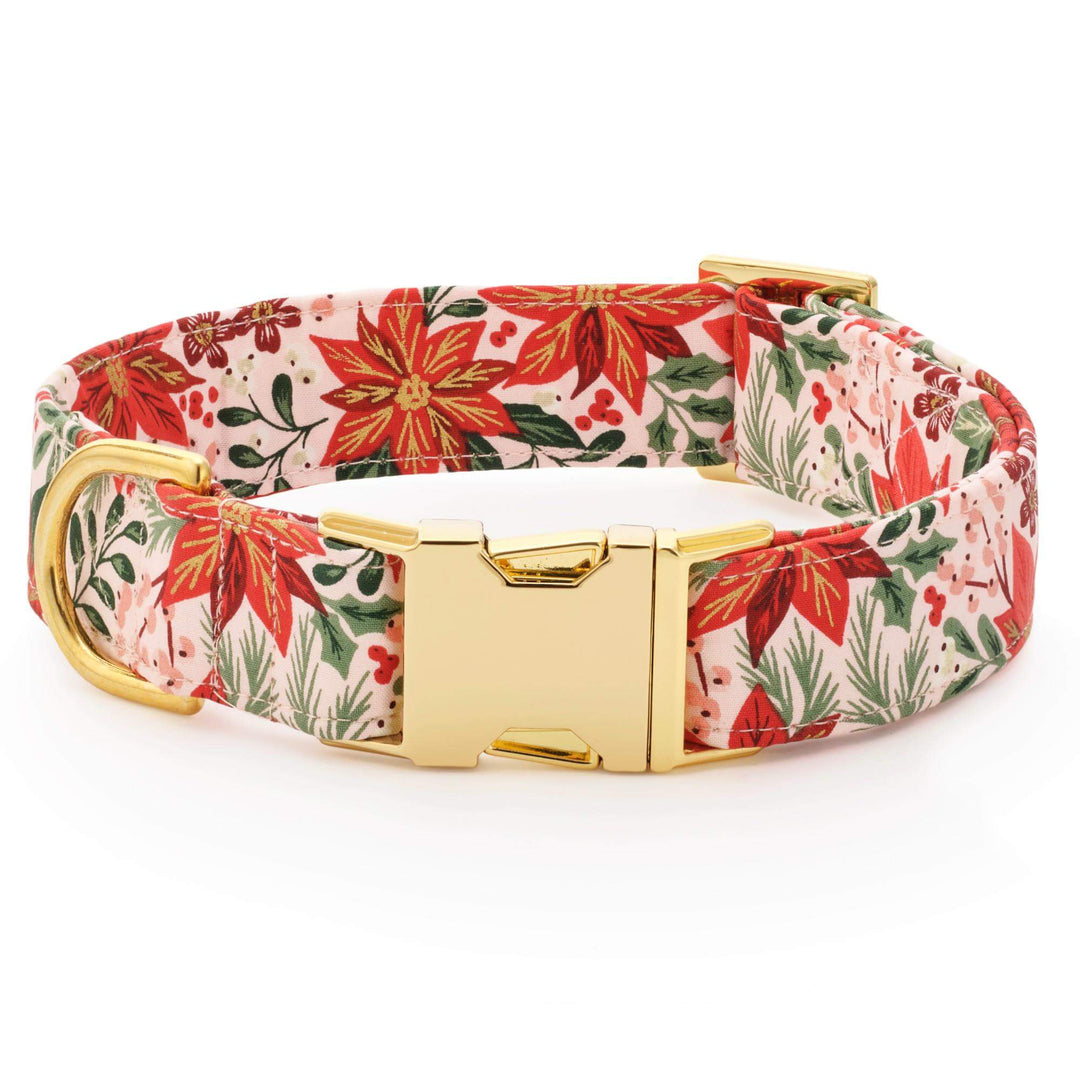 Poinsettia print dog collar in red and coral blooms on blush with a gold buckle, on white