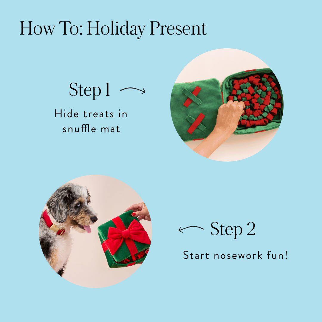 Present how-to: hide treats in the snuffle mat, then start nose work