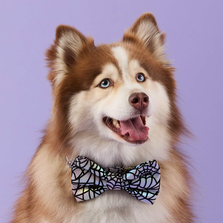 Holographic Spiderweb Bow Tie Collar