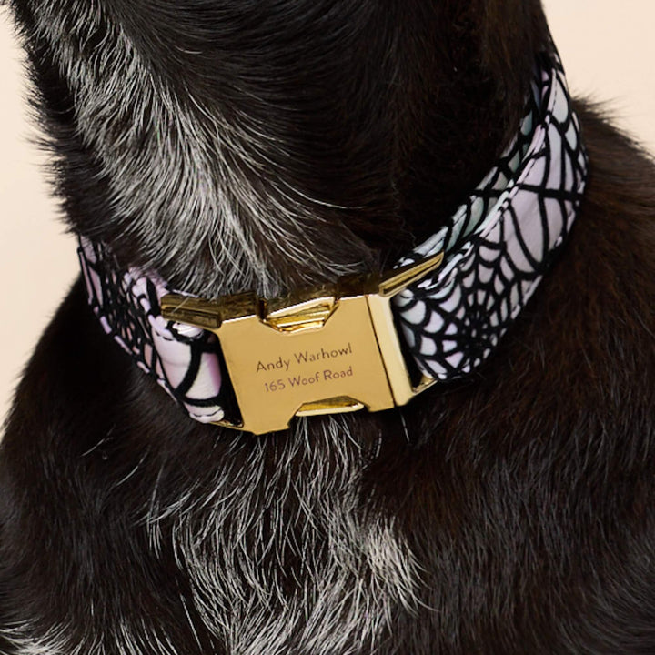 Holographic Spiderweb Dog Collar