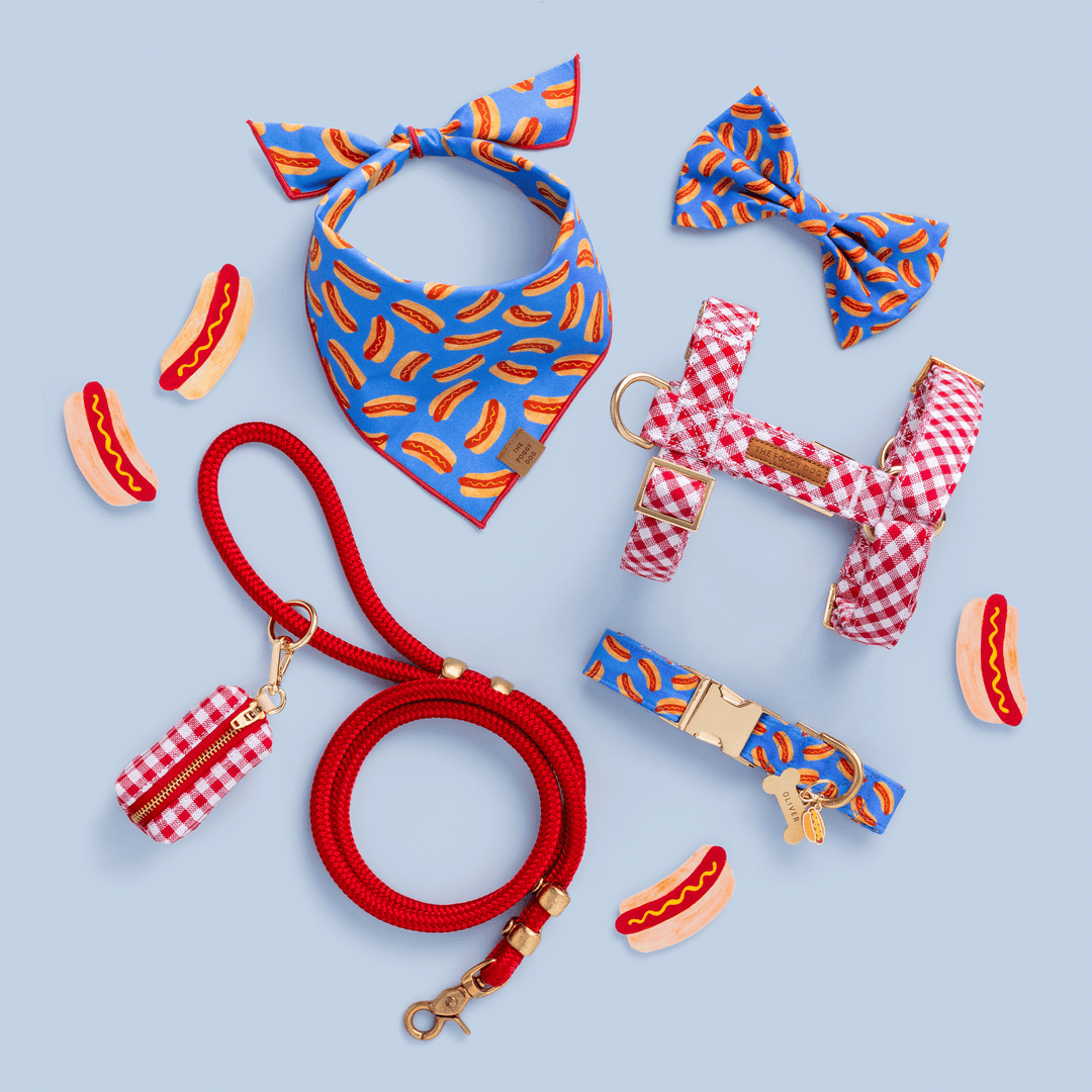 Hot Diggity Bow Tie Collar - Bonjour Fête 