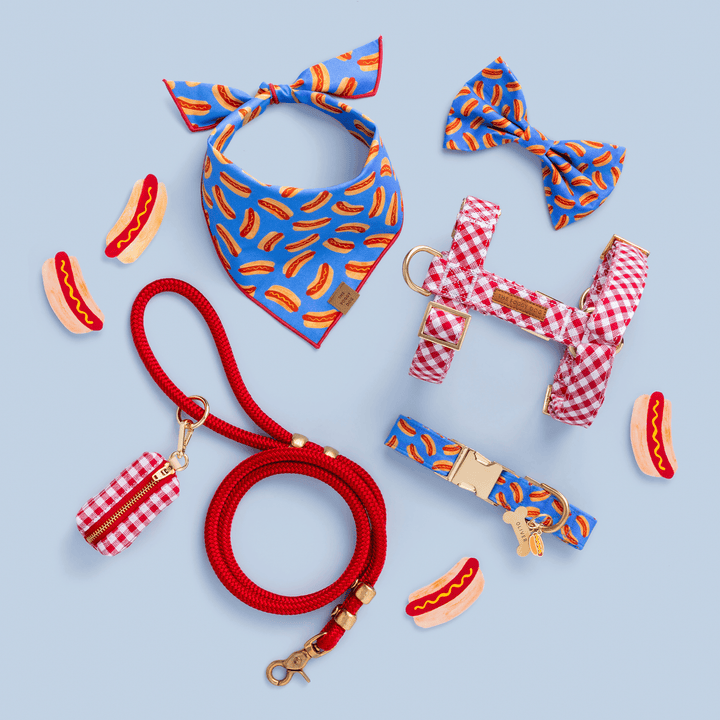 Hot Diggity Dog Collar - Bonjour Fête 