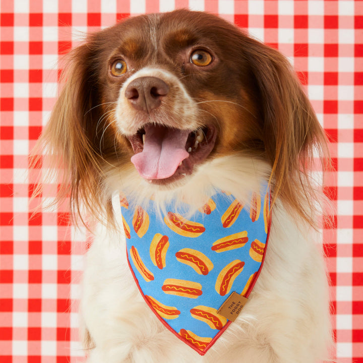 Hot dog print dog bandana laid flat