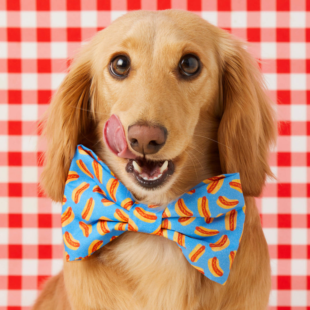 Hot Diggity Bow Tie Collar - Bonjour Fête 