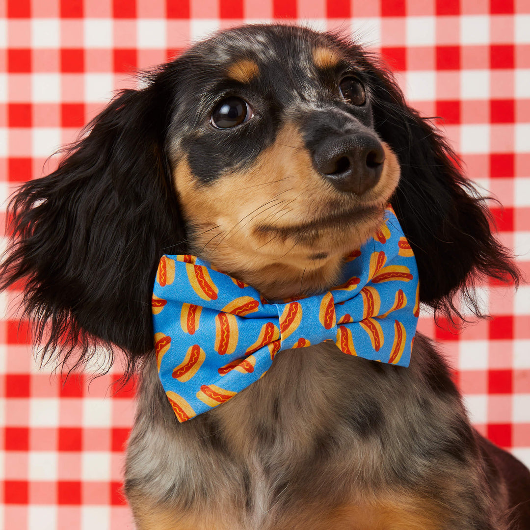 Hot Diggity Dog Bow Tie - Bonjour Fête 