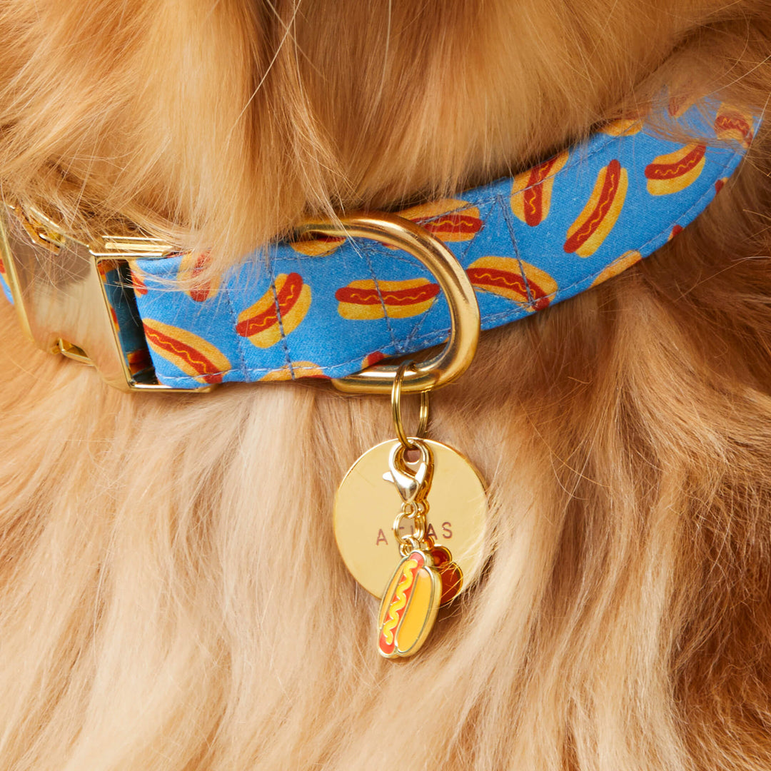 Hot Diggity Dog Collar - Bonjour Fête 