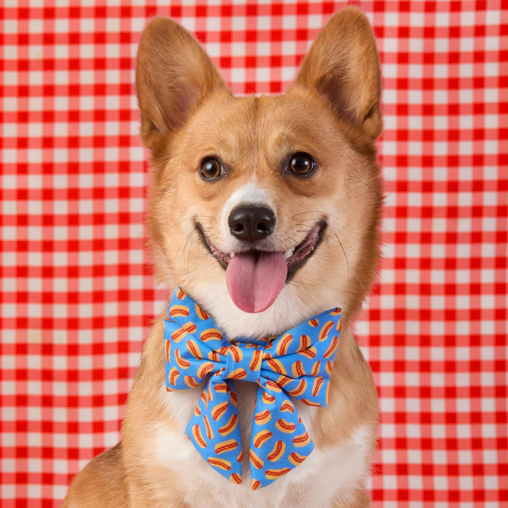 Hot Diggity Lady Bow Collar - Bonjour Fête 