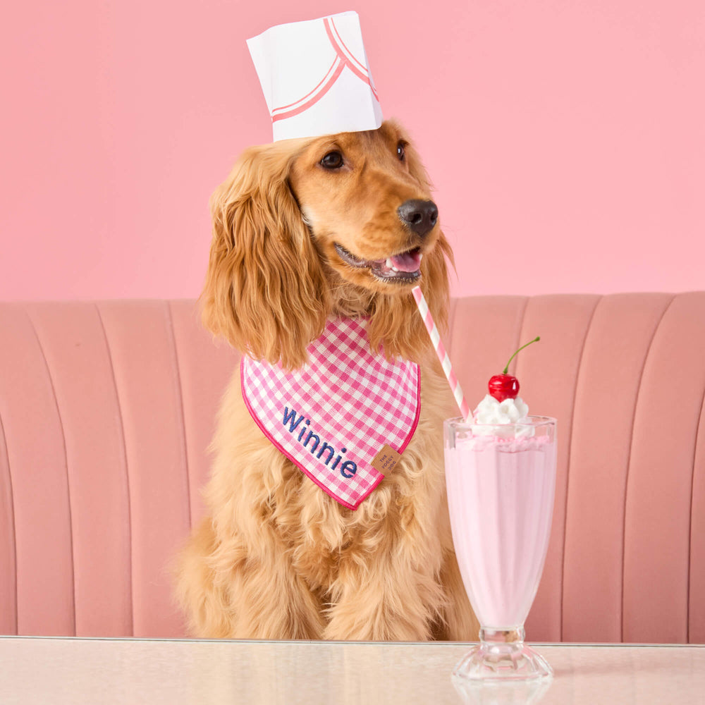 Hot pink gingham dog bandana laid flat
