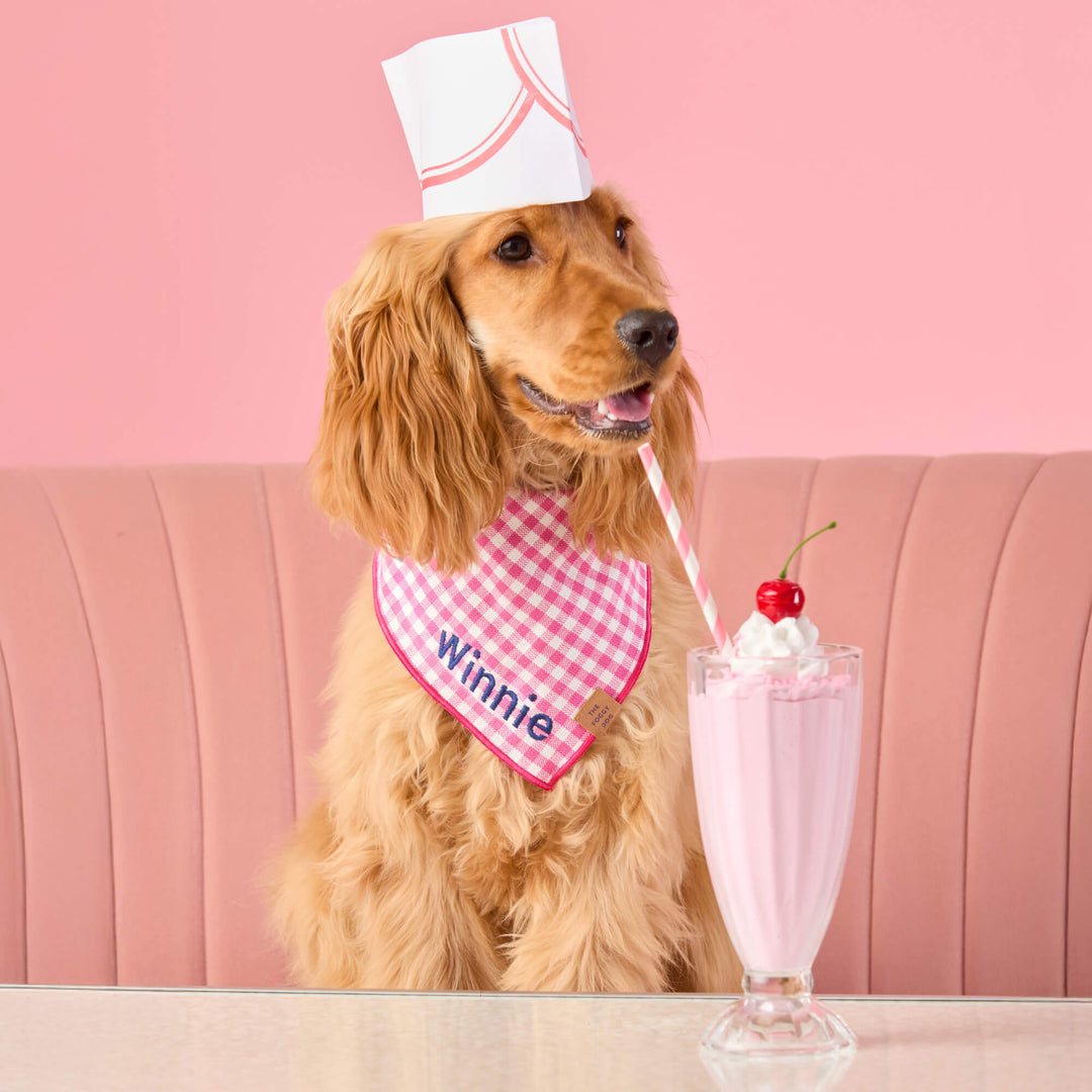 Hot pink gingham dog bandana laid flat