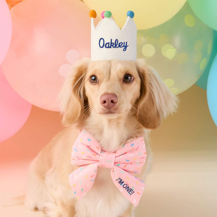 Sprinkles Lady Bow Collar
