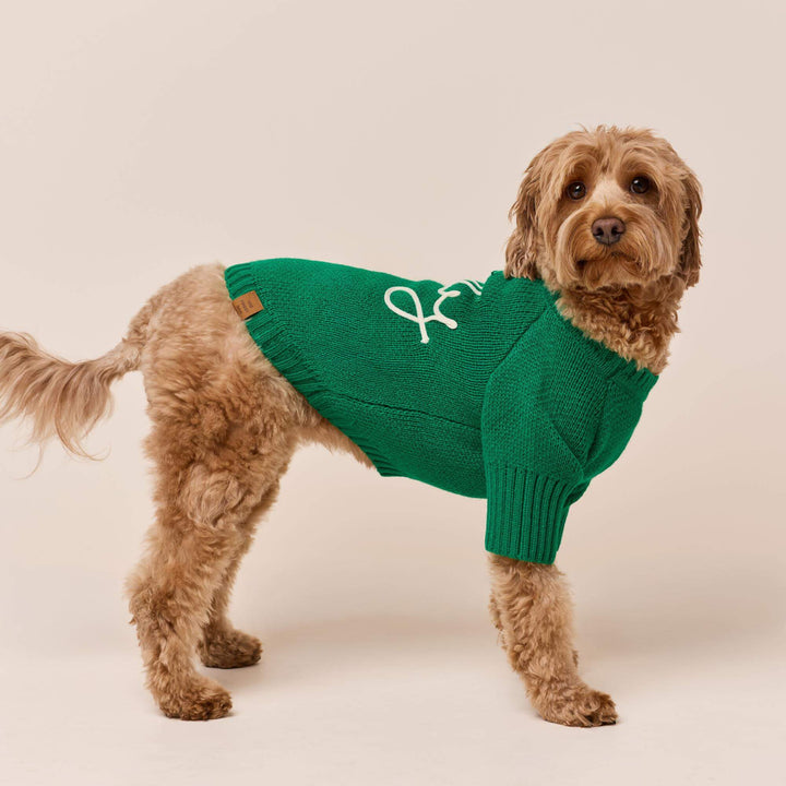 Side view of a standing curly brown dog wearing the green Jolly crewneck Christmas sweater.