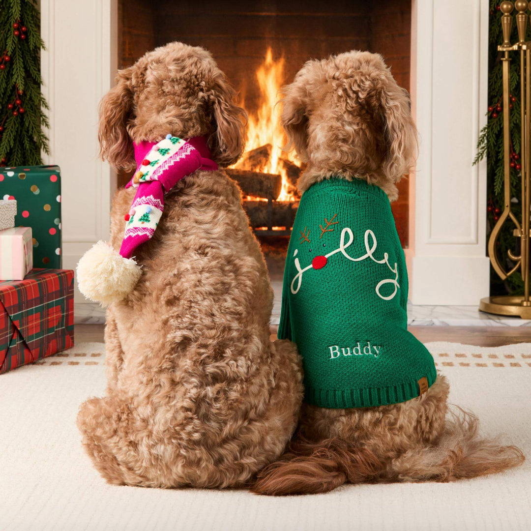 Two curly-coated dogs by a lit fireplace, one in a pink scarf and one in a green Jolly sweater embroidered Buddy.