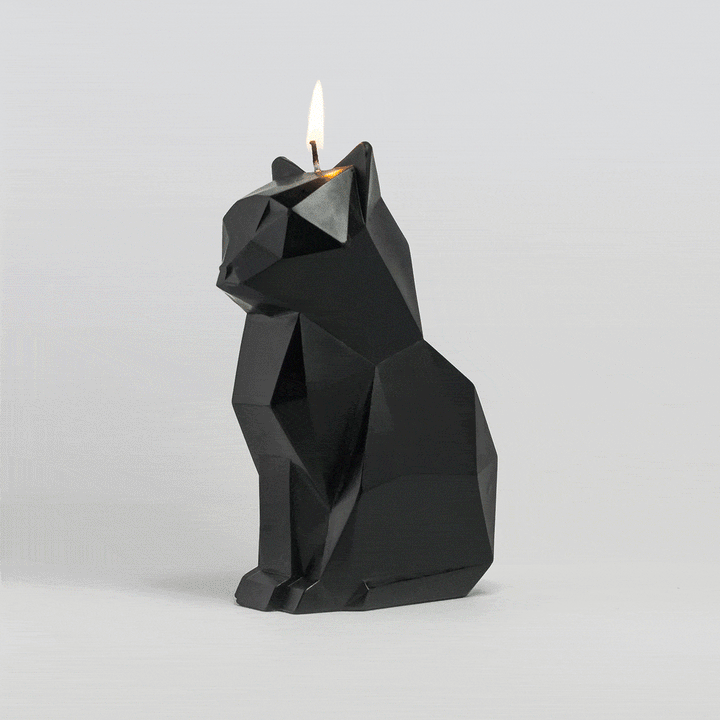 Black cat candle from the PyroPet Kisa line, a novelty candle with a skeleton inside