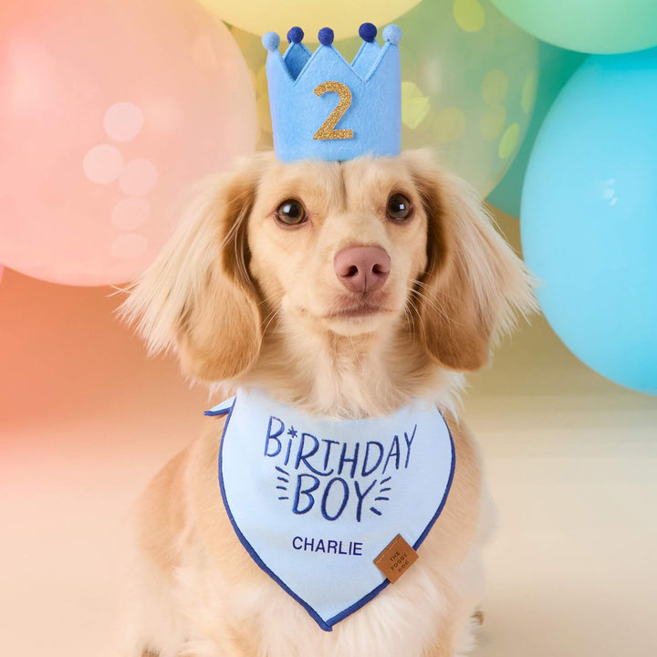 Cream dachshund in a light blue crown with a gold 2 and a Birthday Boy bandana, balloons behind