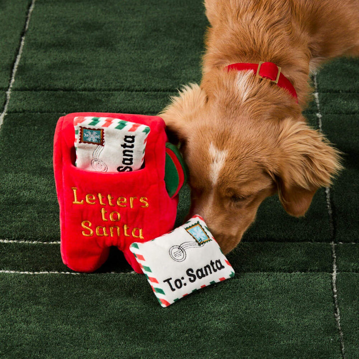 Golden dog nosing envelopes from the mailbox toy on a green rug