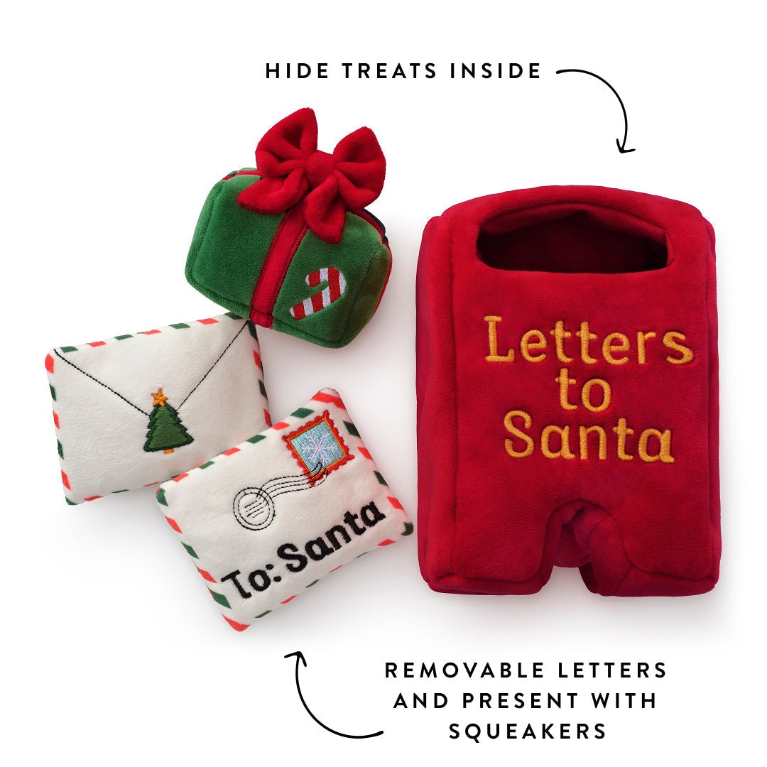 Mailbox toy with two envelopes and green gift box, labeled for treats and squeakers