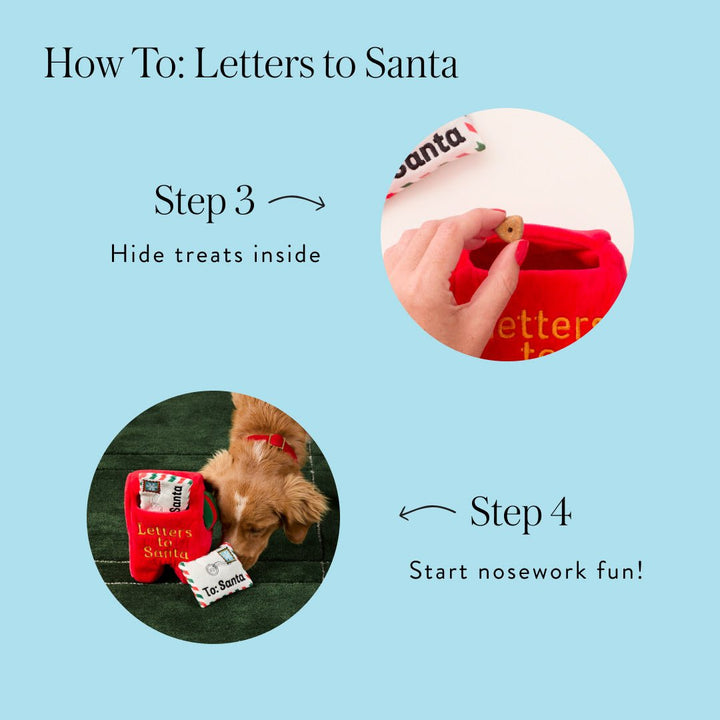 Mailbox how-to: hide treats inside, then start nose work