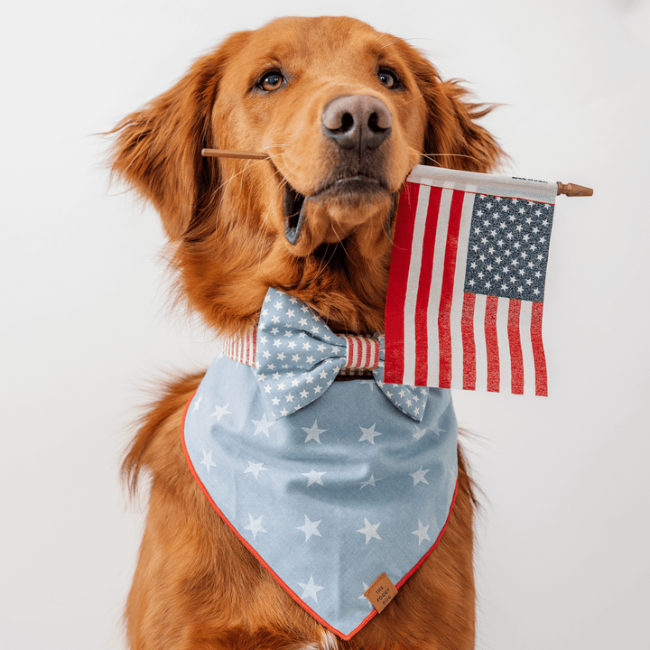 Stars and Stripes Dog Bow Tie - Bonjour Fête 