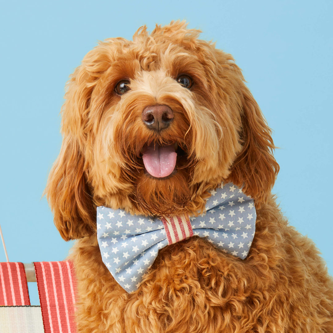 Stars and Stripes Bow Tie Collar - Bonjour Fête 