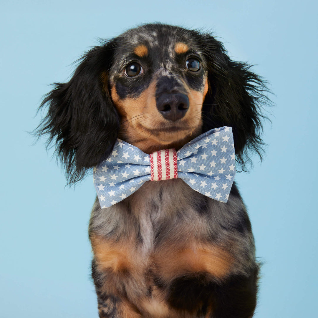 Stars and Stripes Bow Tie Collar - Bonjour Fête 