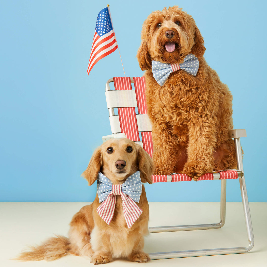 Stars and Stripes Bow Tie Collar - Bonjour Fête 