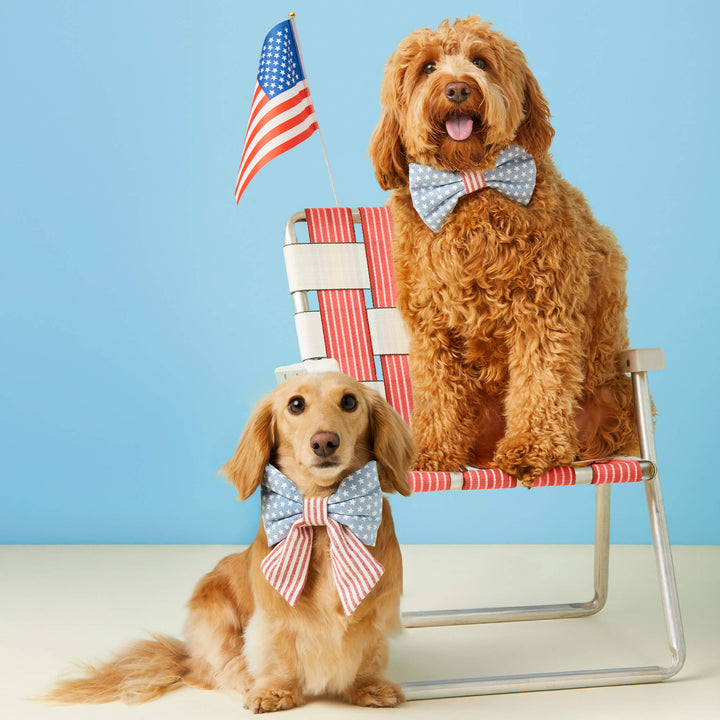 Stars and Stripes Bow Tie Collar - Bonjour Fête 