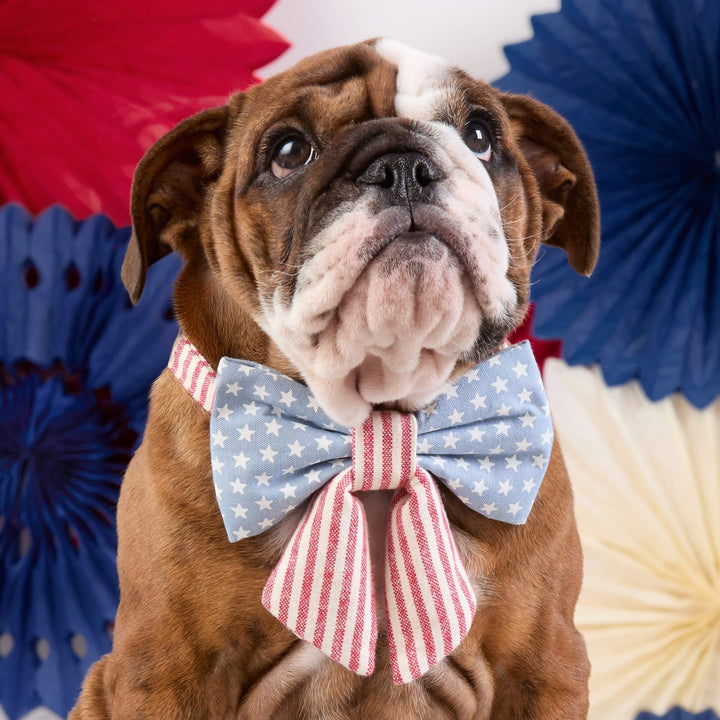 Stars and Stripes Lady Bow Collar - Bonjour Fête 