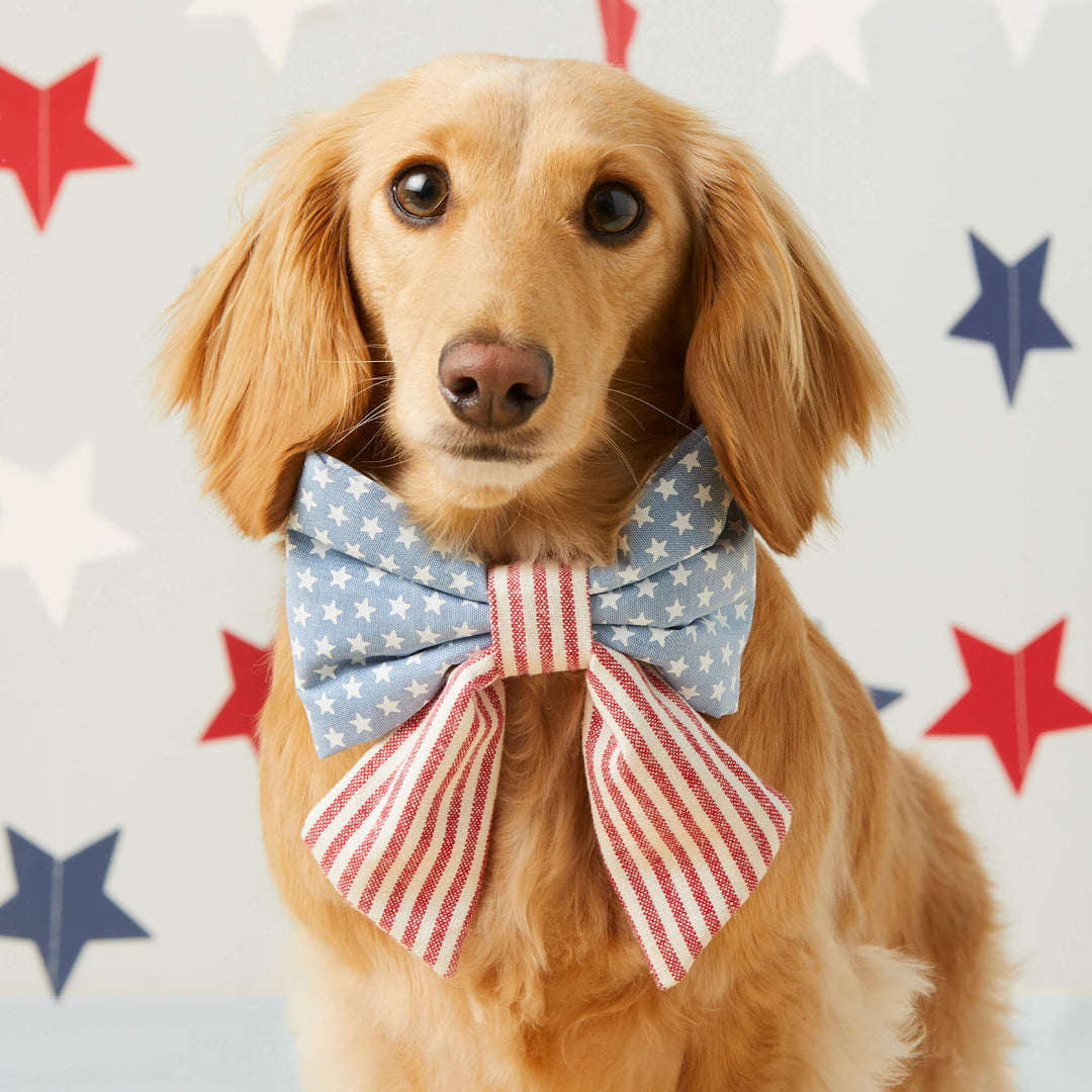 Stars and Stripes Lady Dog Bow - Bonjour Fête 