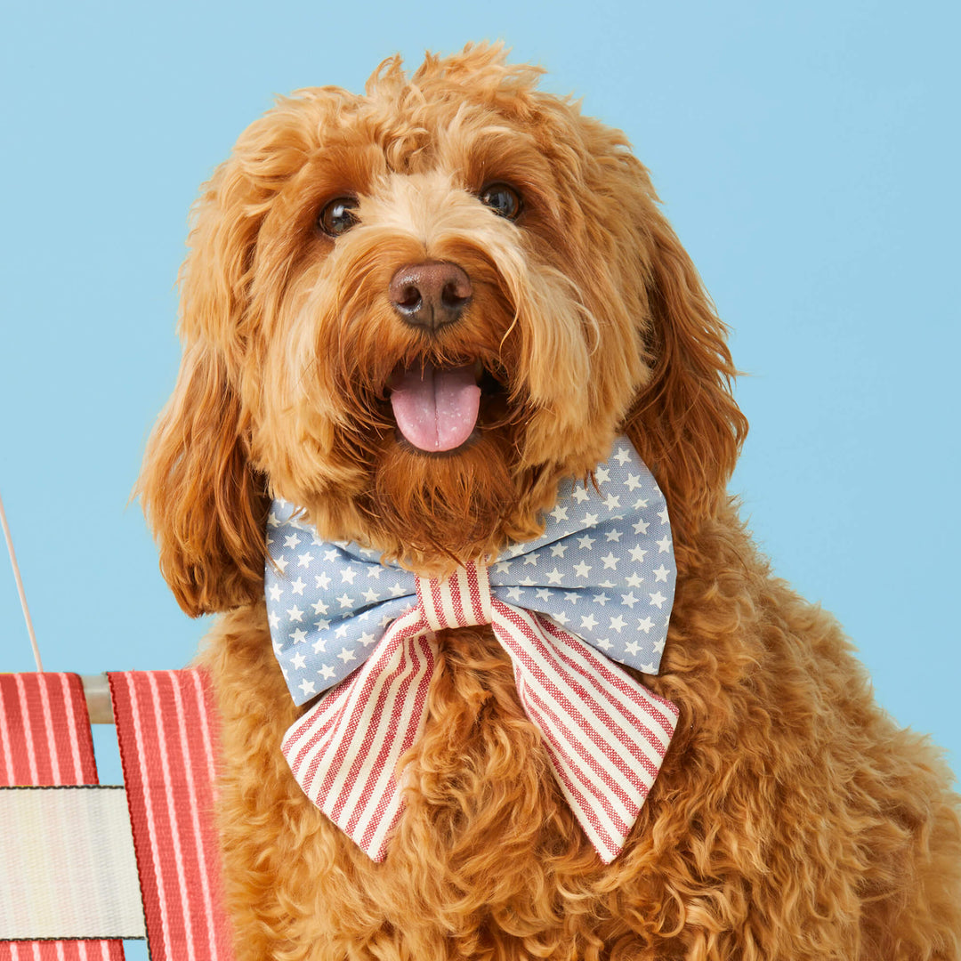 Stars and Stripes Lady Dog Bow - Bonjour Fête 