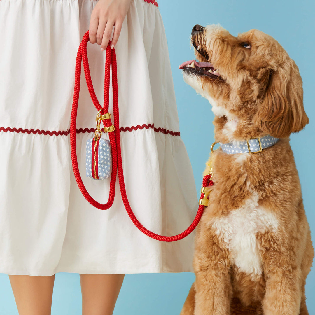 Liberty Dog Collar - Bonjour Fête 