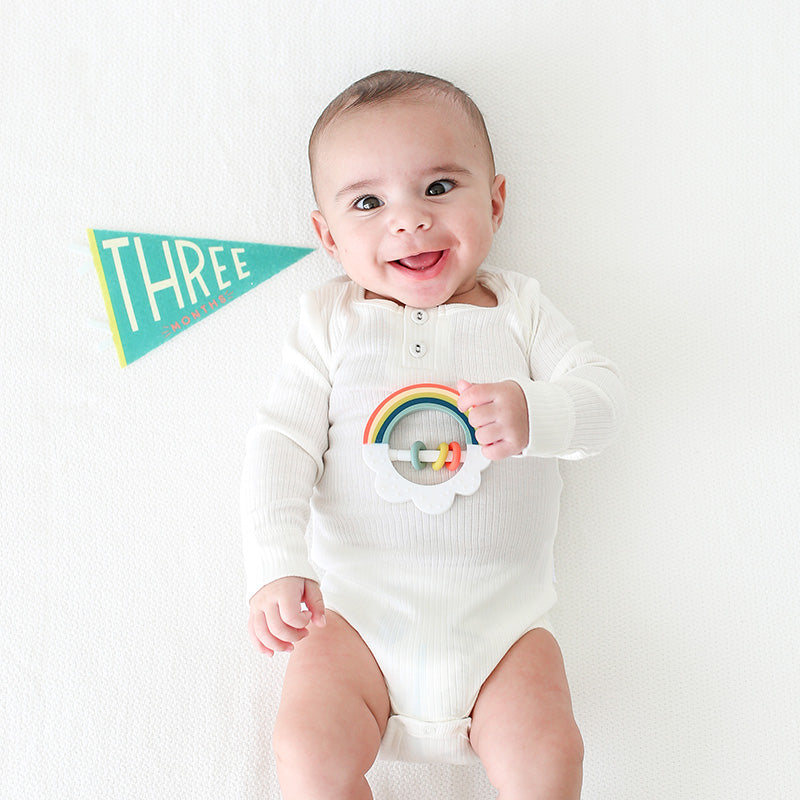 Little Kaleidoscope Petit Milestone Pennants Lucy Darling Milestone pennant Little Kaleidoscope Petit Milestone Pennants Bonjour Fete - Party Supplies