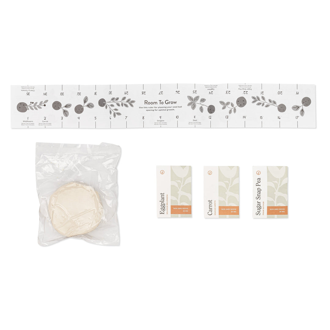 Seed Ball Kits Modern Sprout Playful Planting Seed Ball Kits Bonjour Fete - Party Supplies