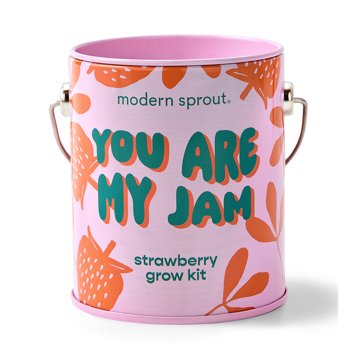 Complimentary Colors Grow Kits Modern Sprout Indoor Garden Kit You are My Jam 1pk Complimentary Colors Grow Kits Bonjour Fete - Party Supplies
