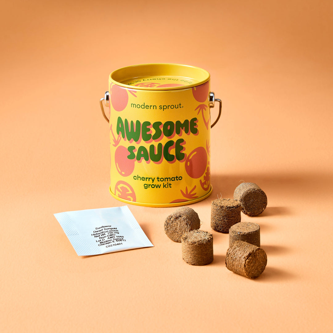 Complimentary Colors Grow Kits Modern Sprout Indoor Garden Kit Complimentary Colors Grow Kits Bonjour Fete - Party Supplies