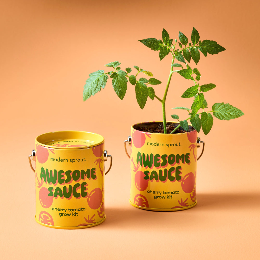 Complimentary Colors Grow Kits Modern Sprout Indoor Garden Kit Complimentary Colors Grow Kits Bonjour Fete - Party Supplies