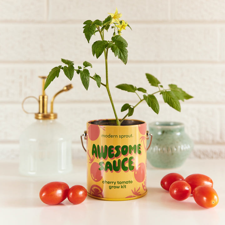 Complimentary Colors Grow Kits Modern Sprout Indoor Garden Kit Complimentary Colors Grow Kits Bonjour Fete - Party Supplies