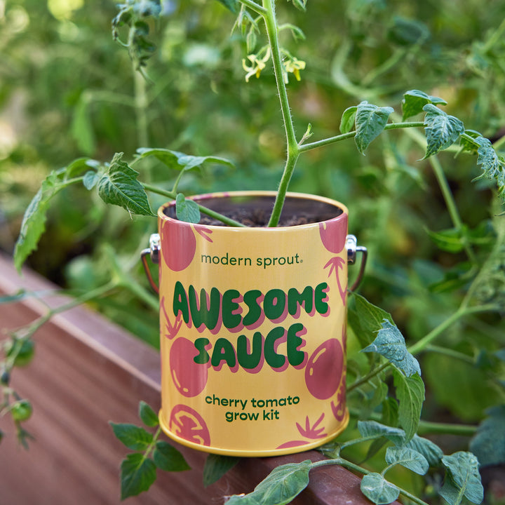 Complimentary Colors Grow Kits Modern Sprout Indoor Garden Kit Complimentary Colors Grow Kits Bonjour Fete - Party Supplies