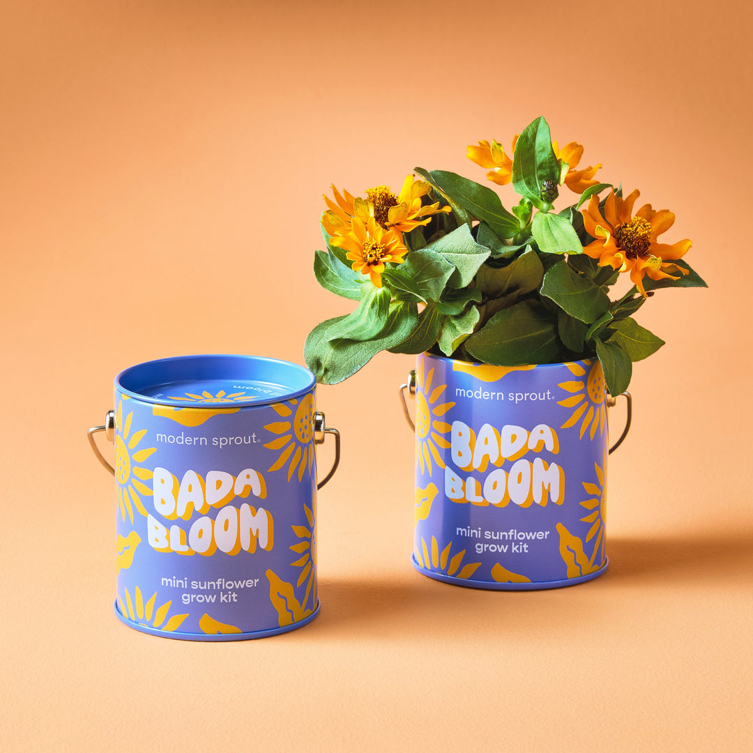 Complimentary Colors Grow Kits Modern Sprout Indoor Garden Kit Complimentary Colors Grow Kits Bonjour Fete - Party Supplies