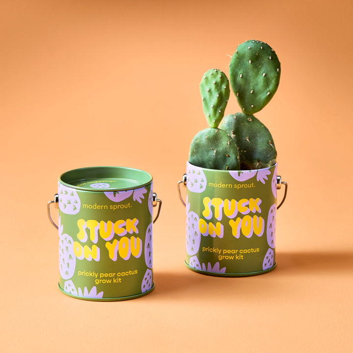 Complimentary Colors Grow Kits Modern Sprout Indoor Garden Kit Complimentary Colors Grow Kits Bonjour Fete - Party Supplies