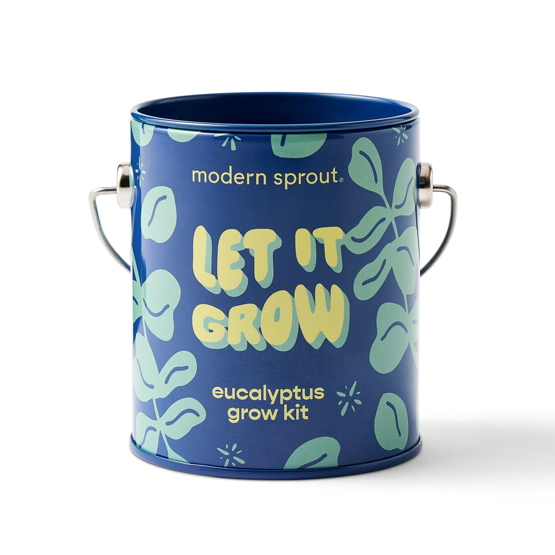 Seasonal Complimentary Colors Grow Kits Modern Sprout Indoor Garden Kit Let It Grow -1pk Seasonal Complimentary Colors Grow Kits Bonjour Fete - Party Supplies