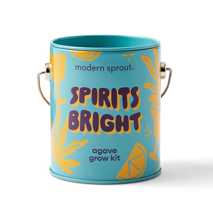 Complimentary Colors Grow Kits Modern Sprout Indoor Garden Kit Spirits Bright 1pk Complimentary Colors Grow Kits Bonjour Fete - Party Supplies