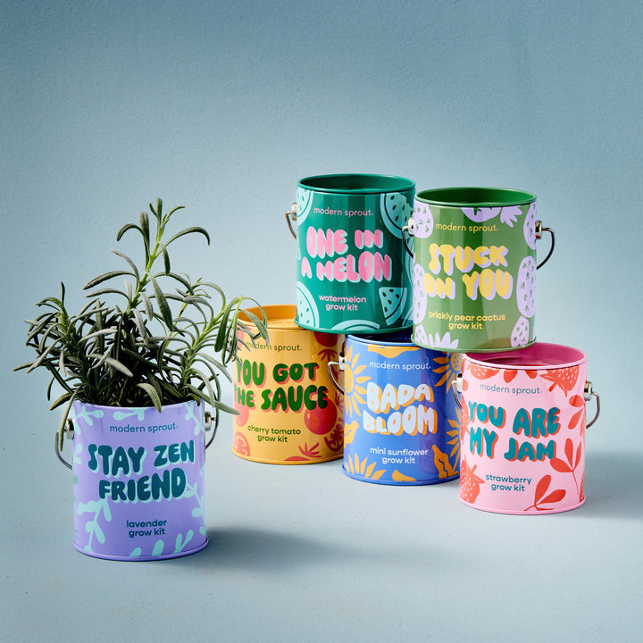 Complimentary Colors Grow Kits Modern Sprout Indoor Garden Kit Complimentary Colors Grow Kits Bonjour Fete - Party Supplies