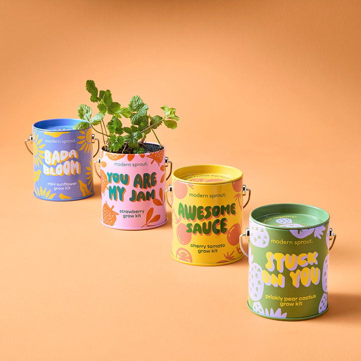 Complimentary Colors Grow Kits Modern Sprout Indoor Garden Kit Complimentary Colors Grow Kits Bonjour Fete - Party Supplies