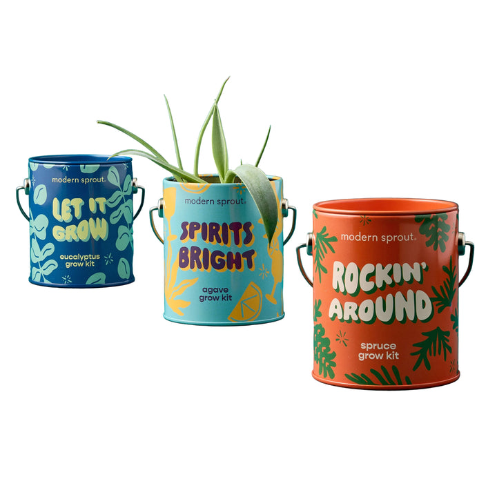 Seasonal Complimentary Colors Grow Kits Modern Sprout Indoor Garden Kit Mixed 3pk Seasonal Complimentary Colors Grow Kits Bonjour Fete - Party Supplies